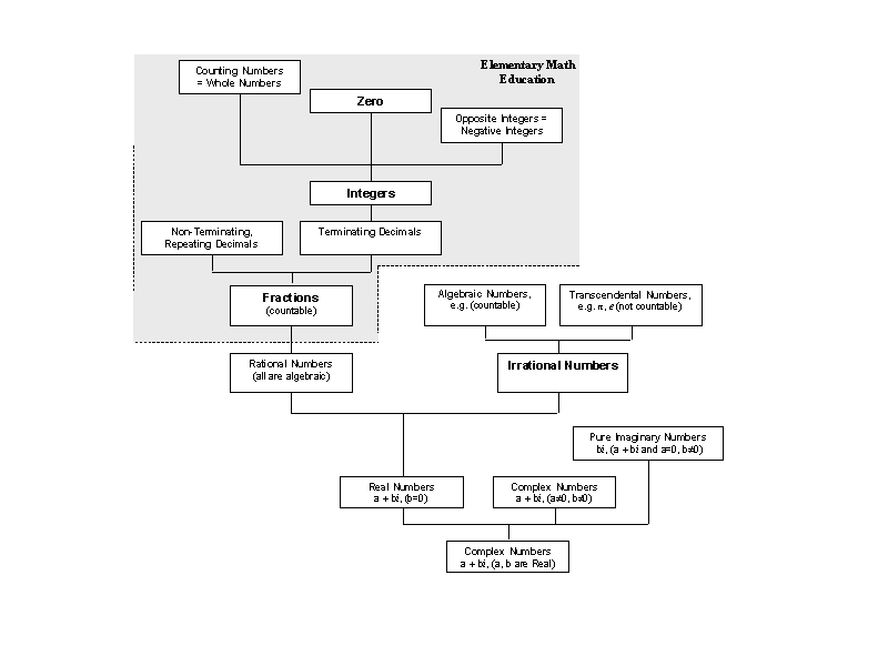 The Numbers' Tree